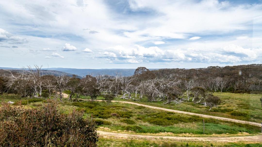 Photo of Others in Dinner Plain