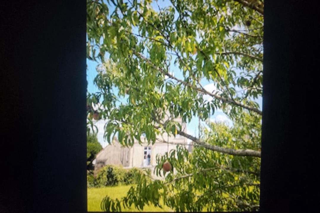 Photo of Others in Coulonces
