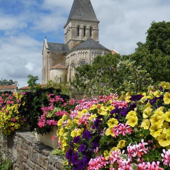 Photo of Others in Mareuil-Sur-Lay-Dissais