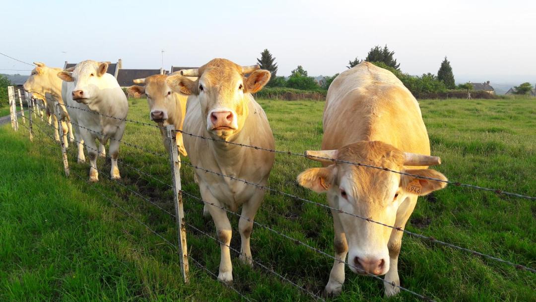 Photo of Others in Tartiers