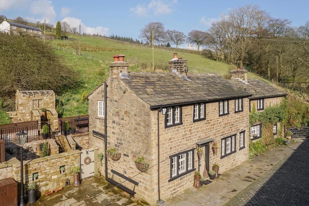 Photo of Others in Fence