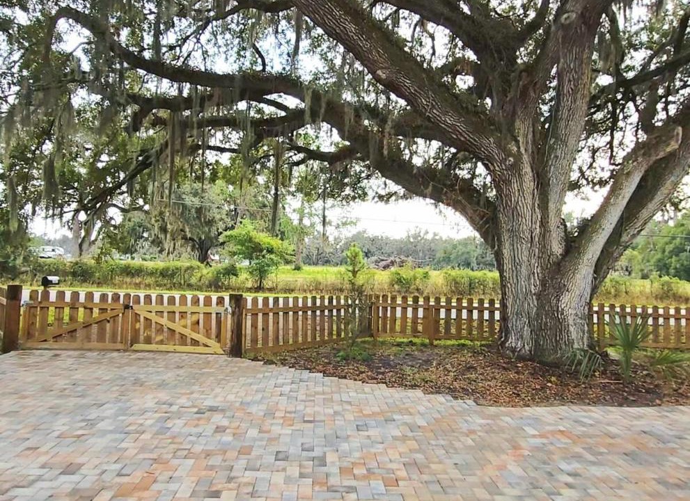 Photo of Others in Lakeland