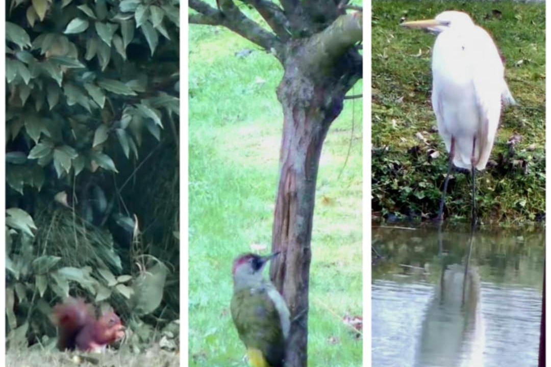 Photo of Others in Ferrieres-la-Verrerie