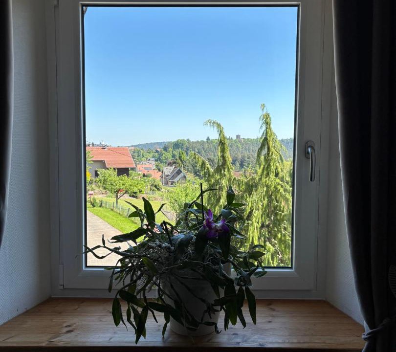 Photo of Others in Wangenbourg-Engenthal