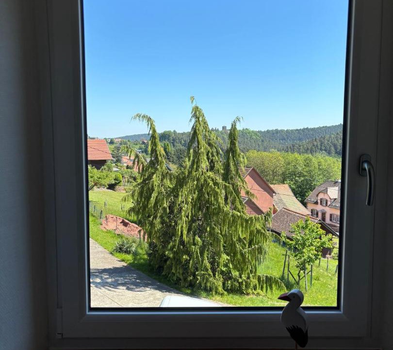 Photo of Others in Wangenbourg-Engenthal