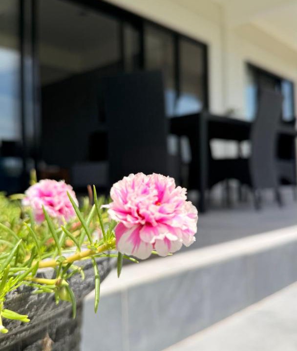 Photo of Others in Mendoyo