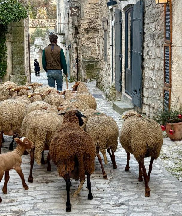 Photo of Others in Les Baux-de-Provence
