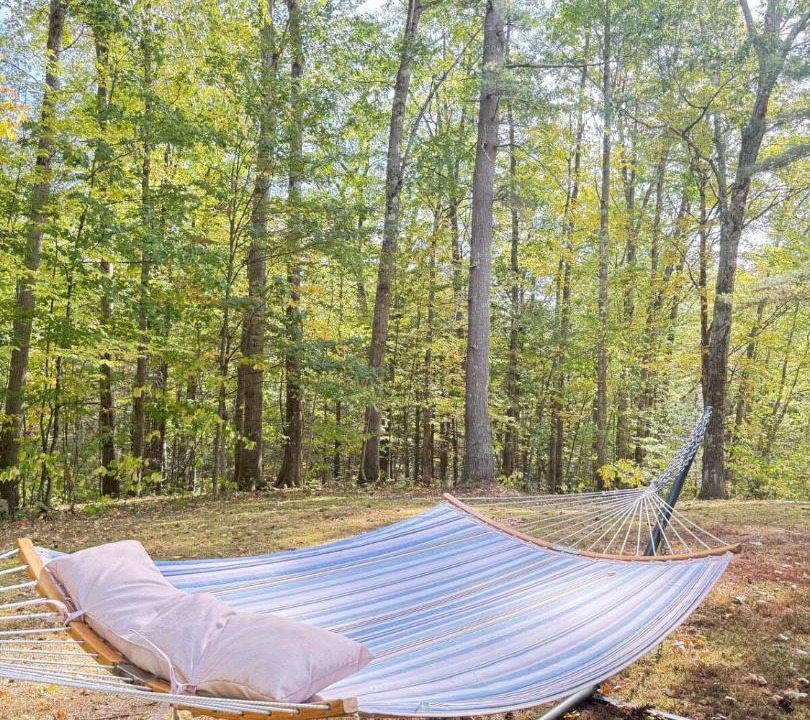 Photo of Outdoor in Charlemont