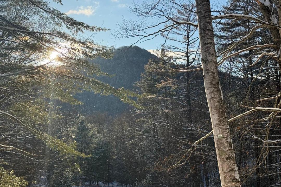 Photo of Others in Charlemont