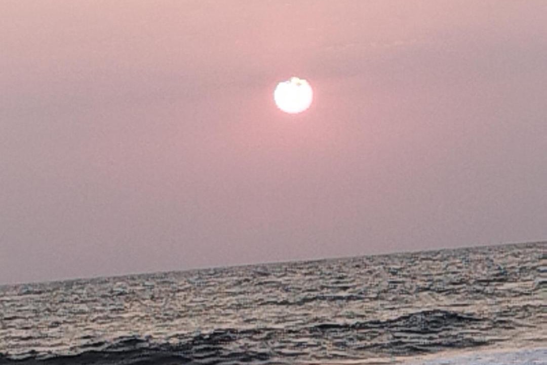 Photo of Others in Finsbury Park