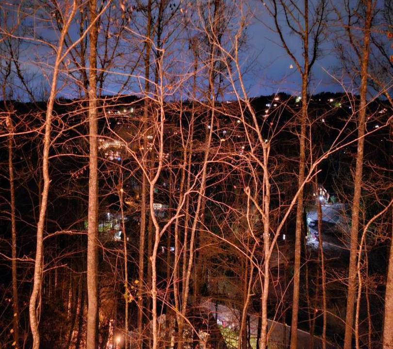 Photo of Others in Piney Island