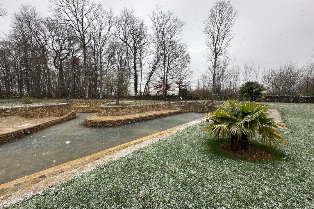 Photo of Others in Chaumes-en-Brie