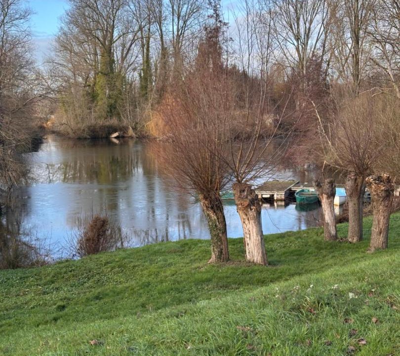 Photo of Others in Moulle