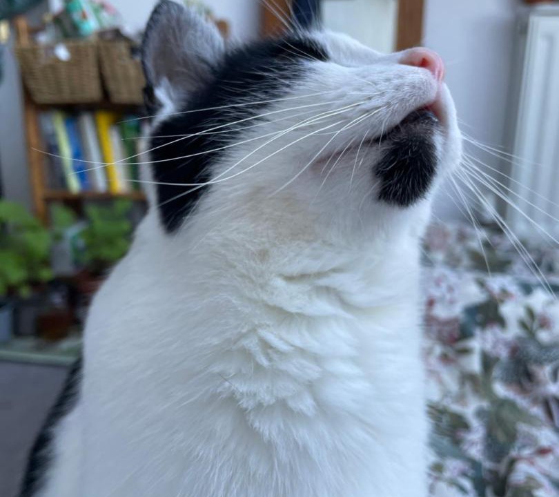 Photo of Others in Wolverton