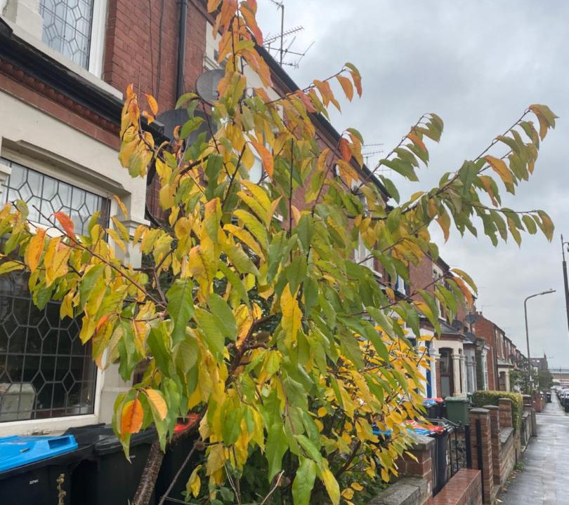 Photo of Others in Wolverton