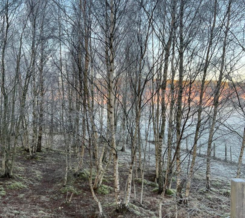 Photo of Others in Boat of Garten