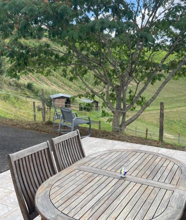 Photo of Others in Monein