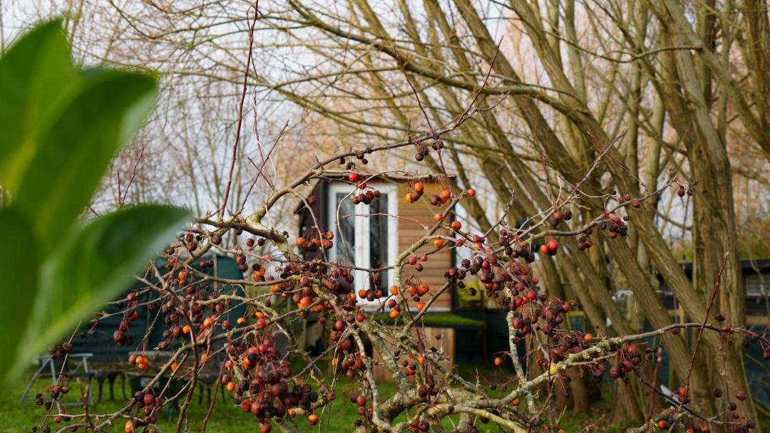 Photo of Others in Thakeham