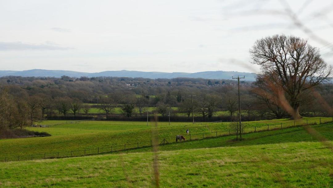 Photo of Others in Thakeham