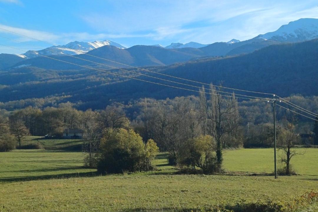 Photo of Others in Leychert