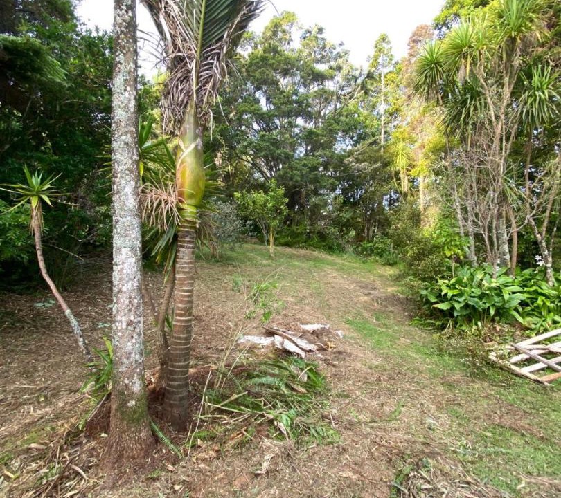 Photo of Others in Warkworth