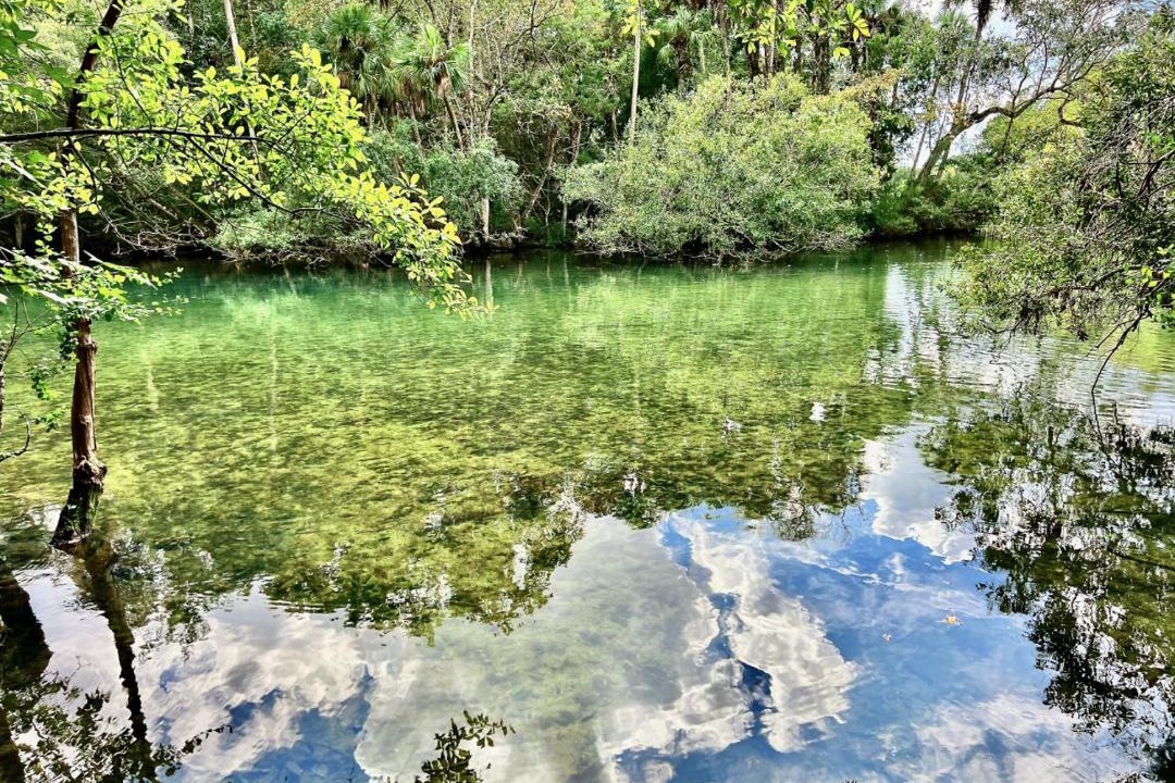 Photo of Others in Crystal River