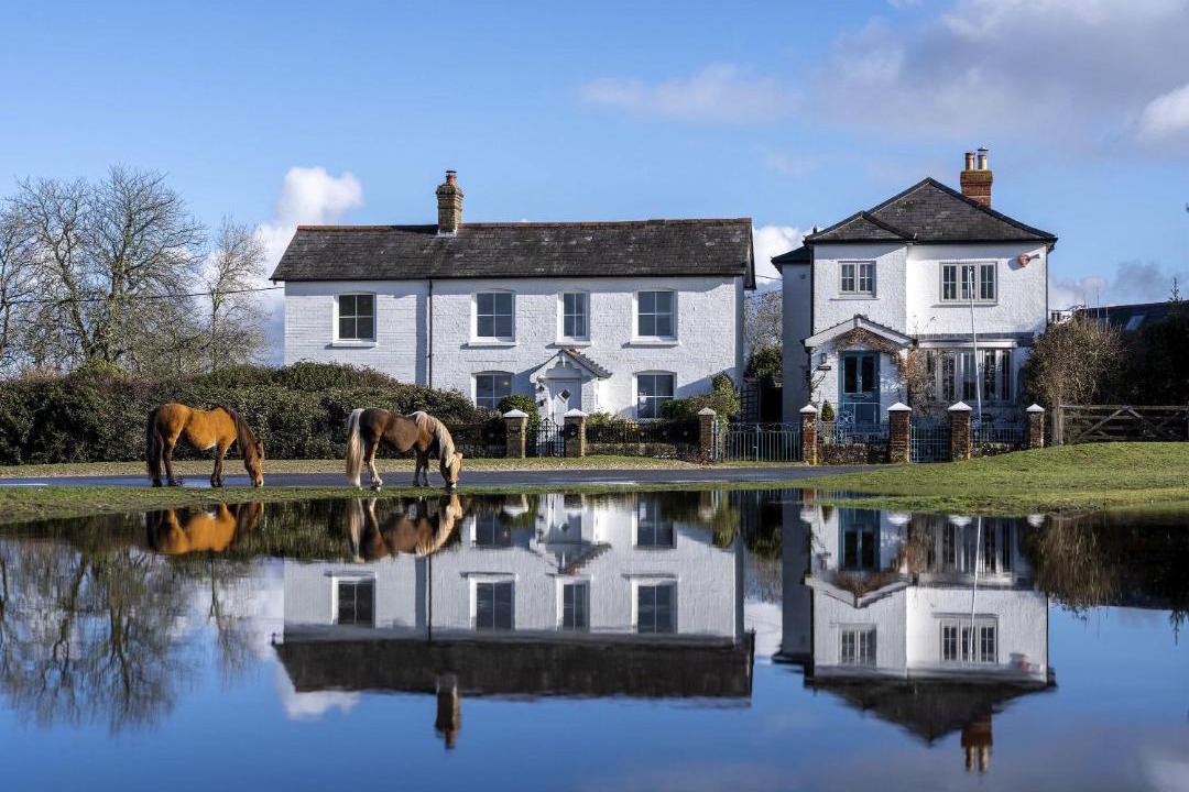 Photo of Others in New Forest District