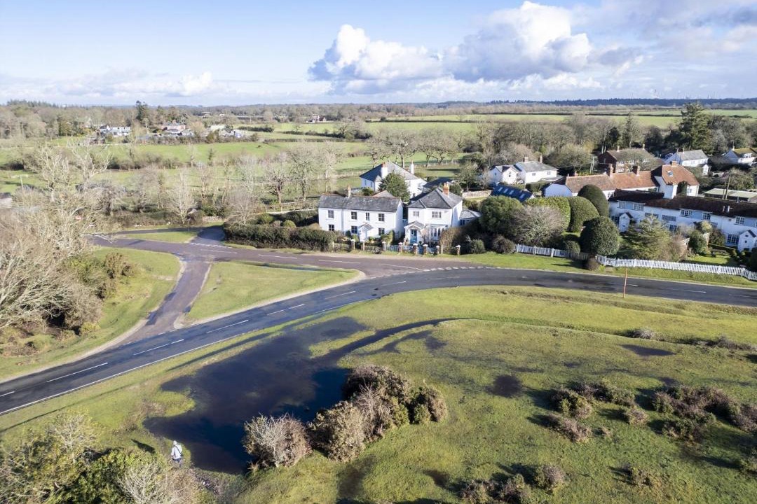 Photo of Others in New Forest District