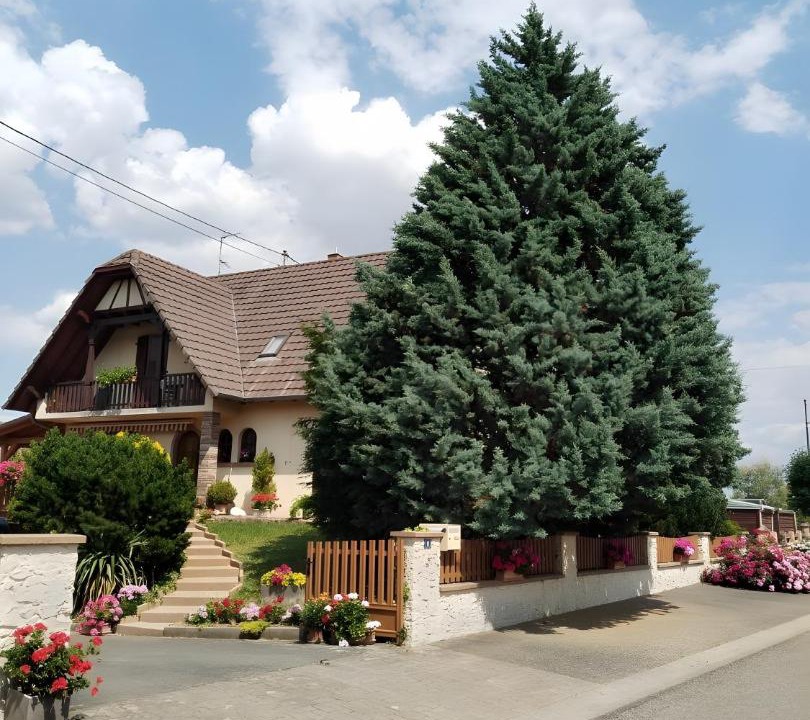 Photo of Others in Geiswiller