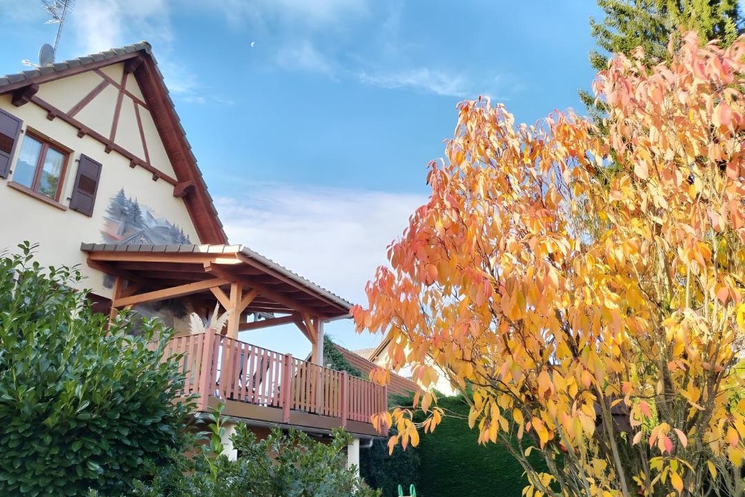 Photo of Others in Geiswiller