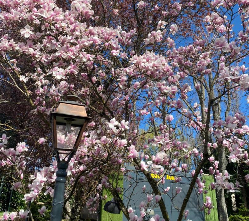 Photo of Others in Tournus