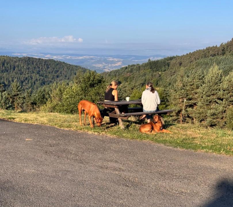 Photo of Others in Saint-Didier-sur-Doulon