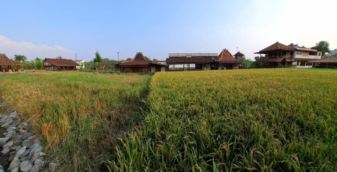 Photo of Others in Sleman