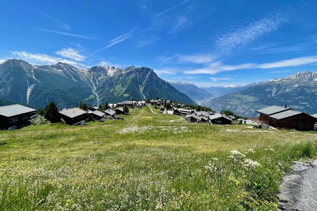 Photo of Others in Rosswald
