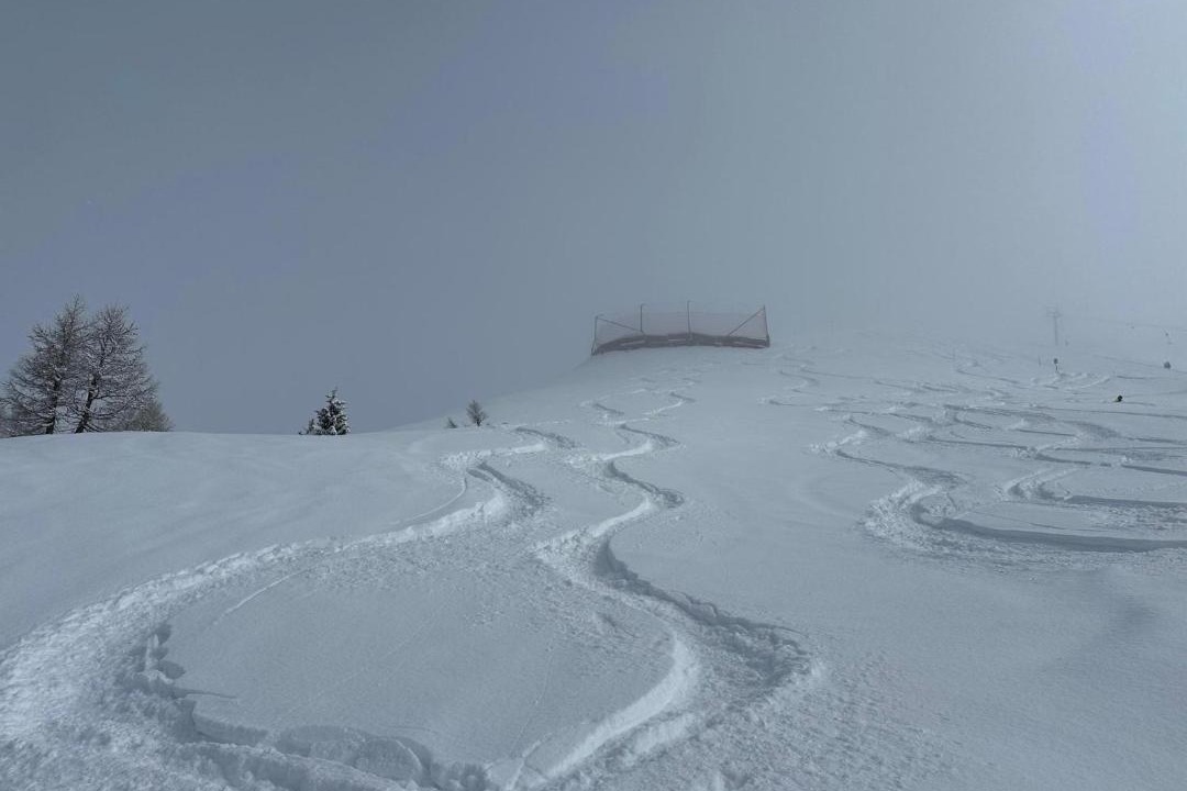 Photo of Others in Rosswald