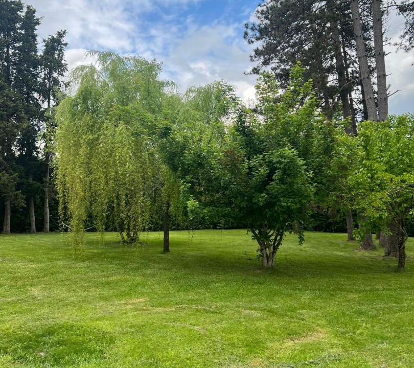 Photo of Outdoor in Loubejac