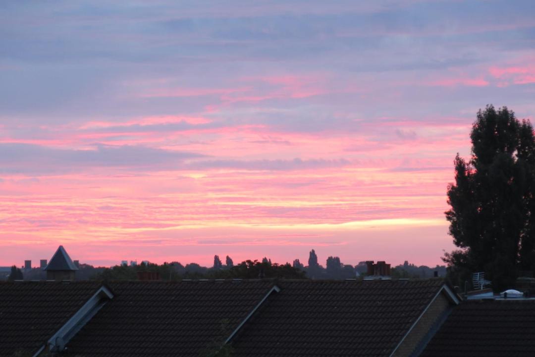 Photo of Outdoor in West Hill