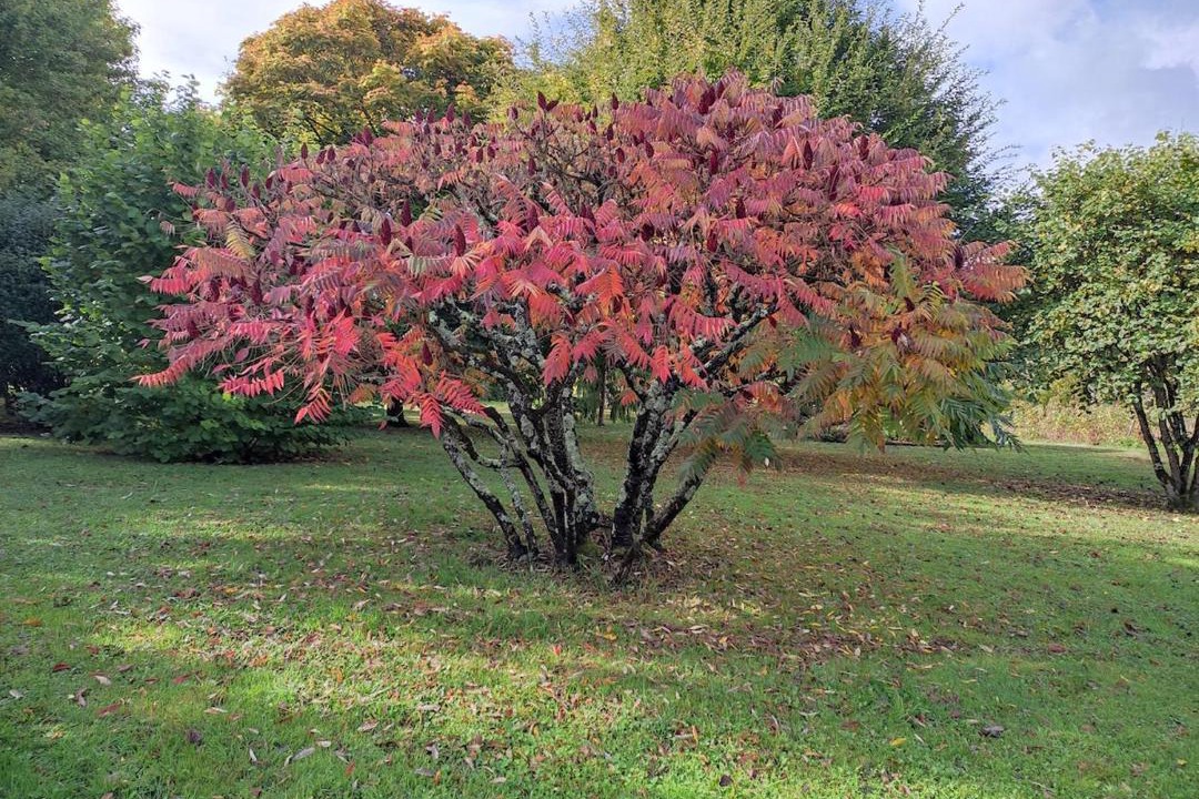 Photo of Outdoor in Saint-Germain-sur-Vienne