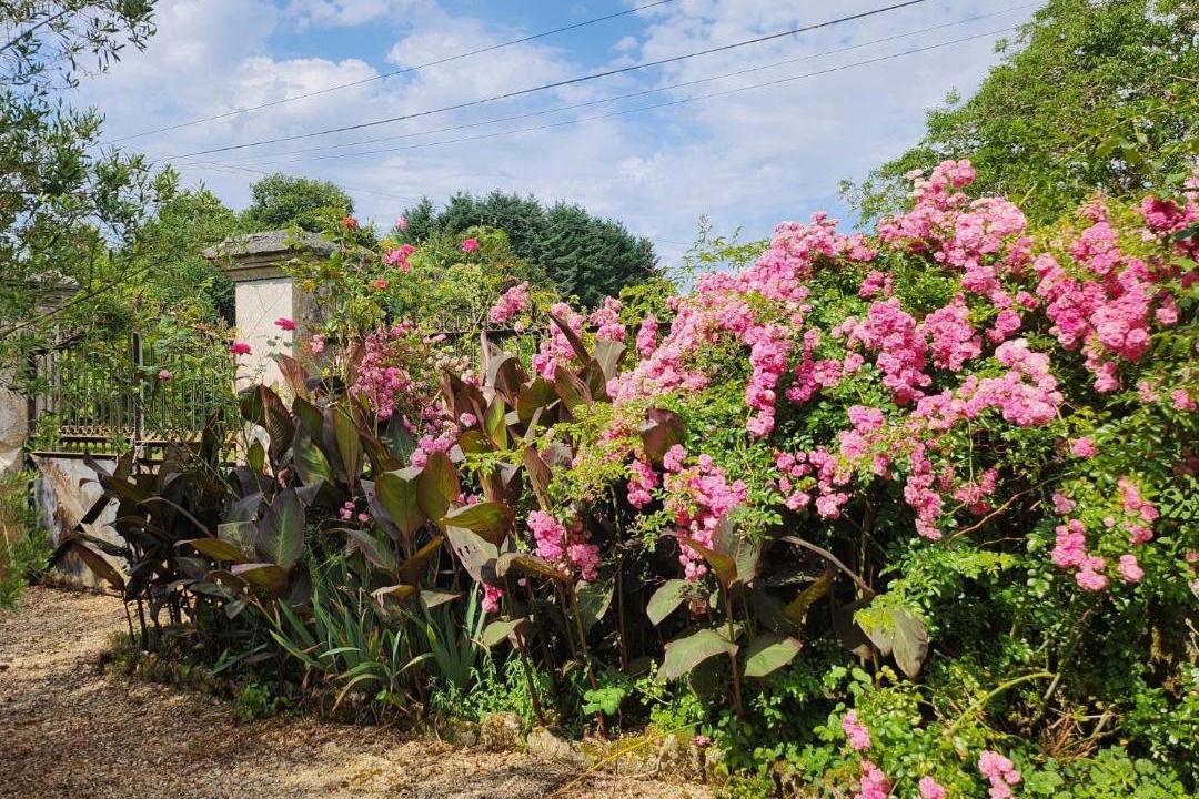 Photo of Others in Lorigne