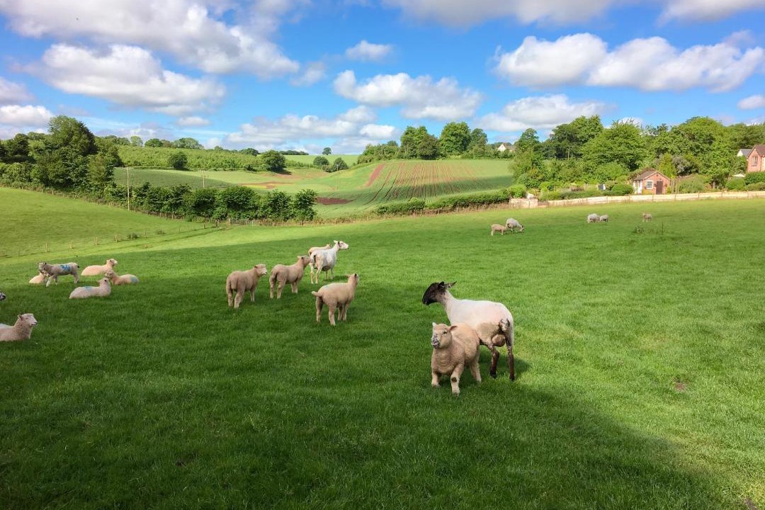 Photo of Others in Saint Blazey