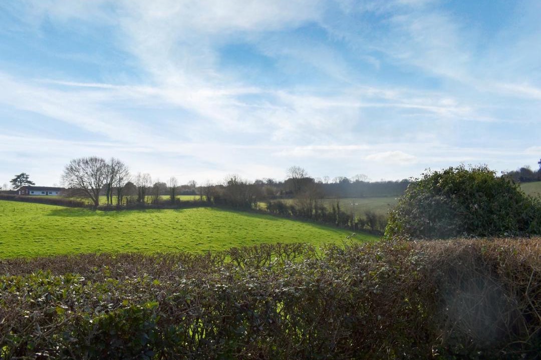 Photo of Others in Saint Blazey