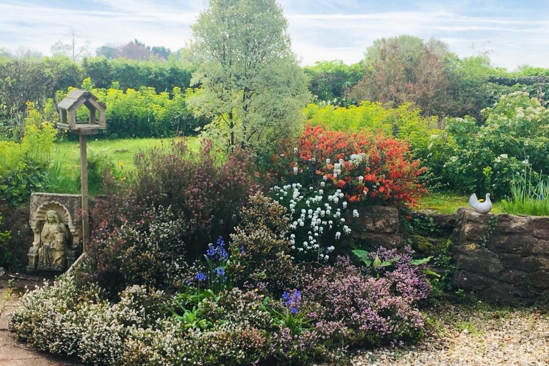 Photo of Others in Saint Blazey