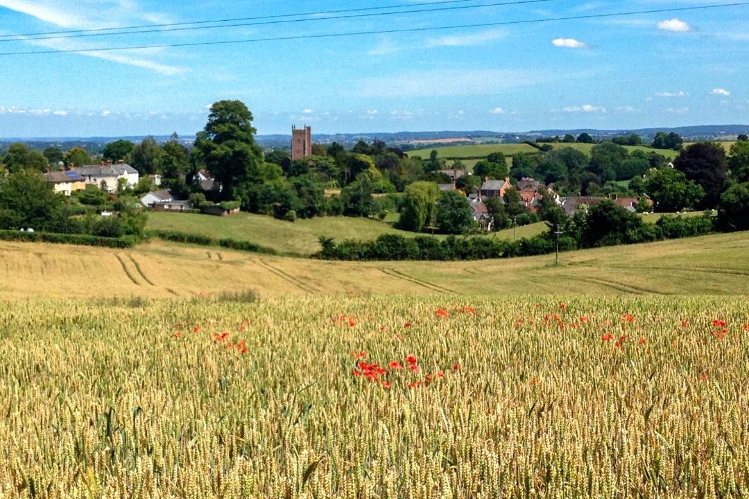 Photo of Others in Saint Blazey