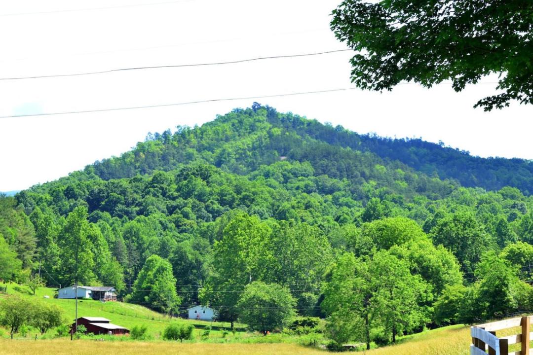 Photo of Others in Canton
