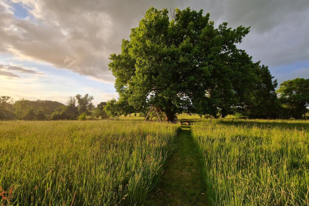 Photo of Others in Sannat