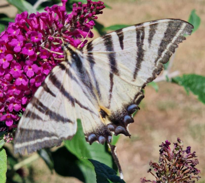 Photo of Outdoor in Sannat