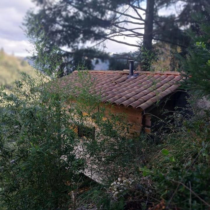 Photo of Others in Saint-Sauveur-de-Montagut