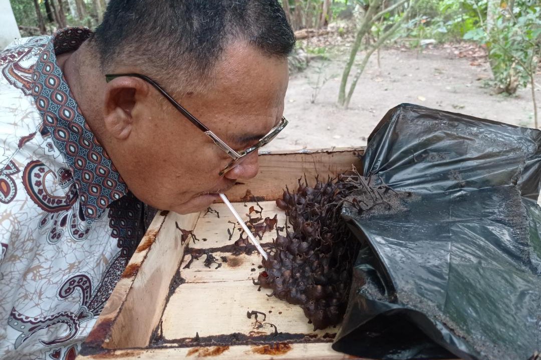 Photo of Others in Lombok
