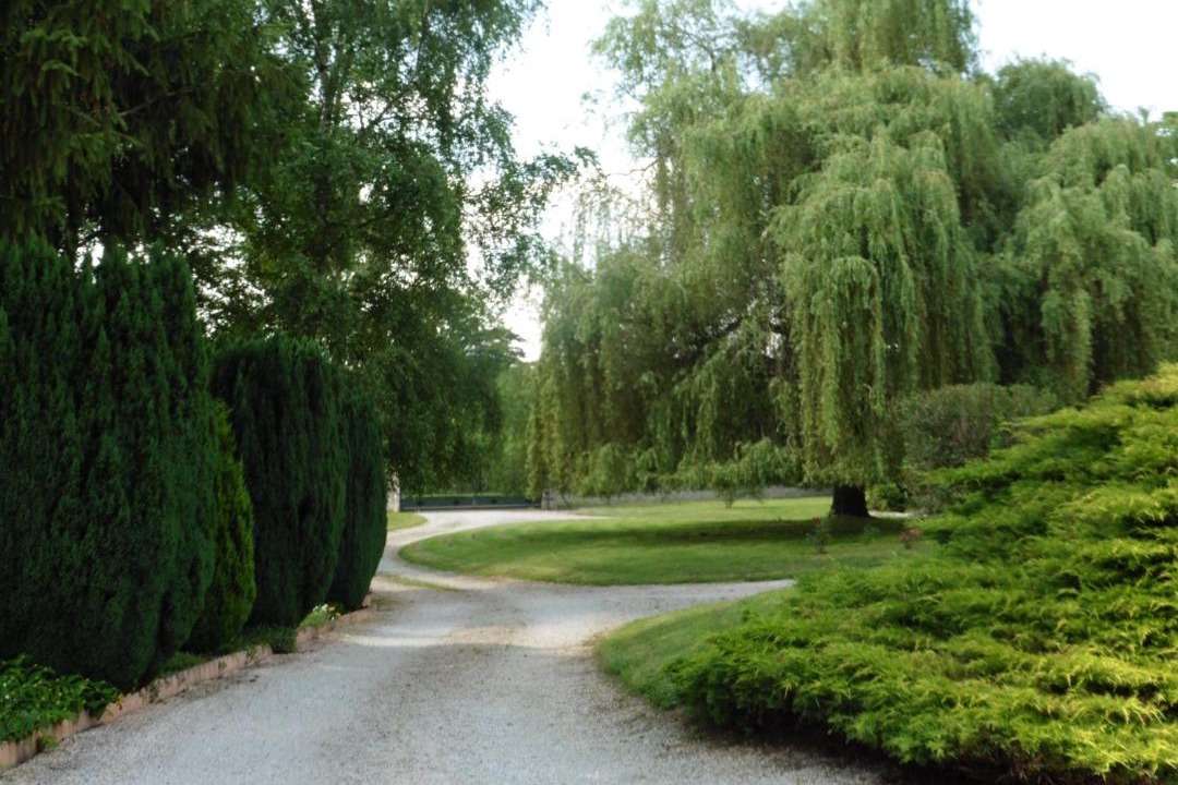 Photo of Others in Boyer