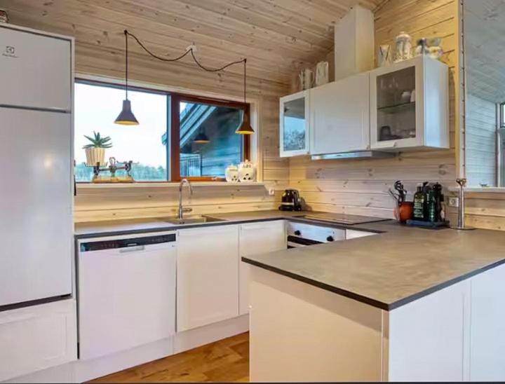 Photo of Kitchen in Kongsnæs